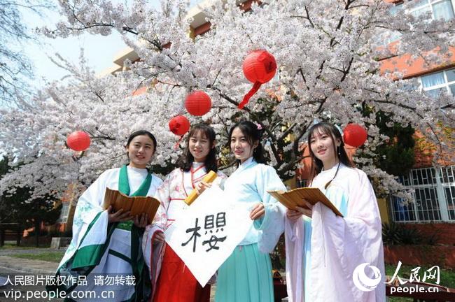青岛:大学生着汉服穿越樱花季(2017.4.8)海外