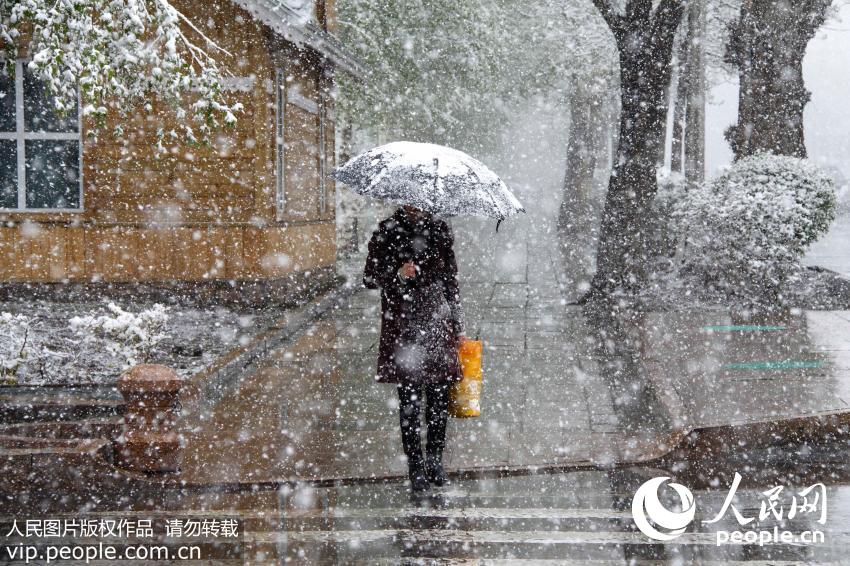 新疆阿勒泰迎大范围降雪降温天气【6】