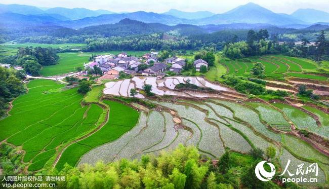 江西永丰:夏日桃源景如画(2017.6.8)海外版3版