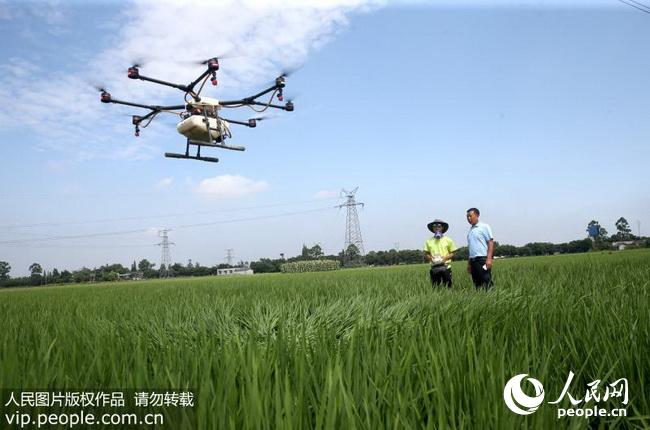 �Ĵ�üɽ�����˻����ɷ���ҵ�����գ�2017.9.5��10��