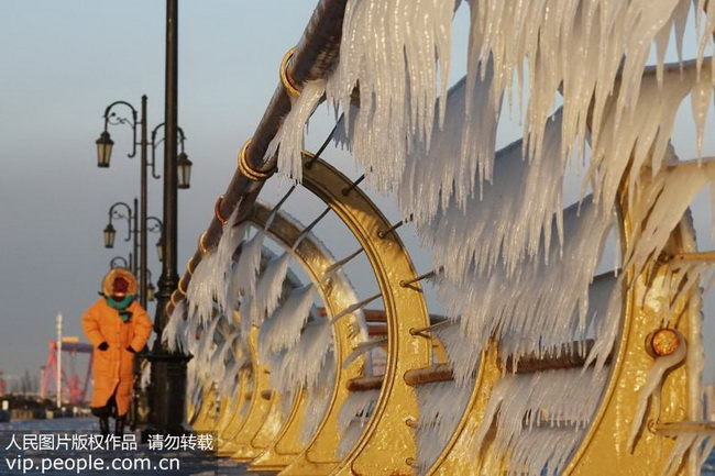 2018年12月27日，大连东港海岸边的护栏挂上了美丽的冰凌。