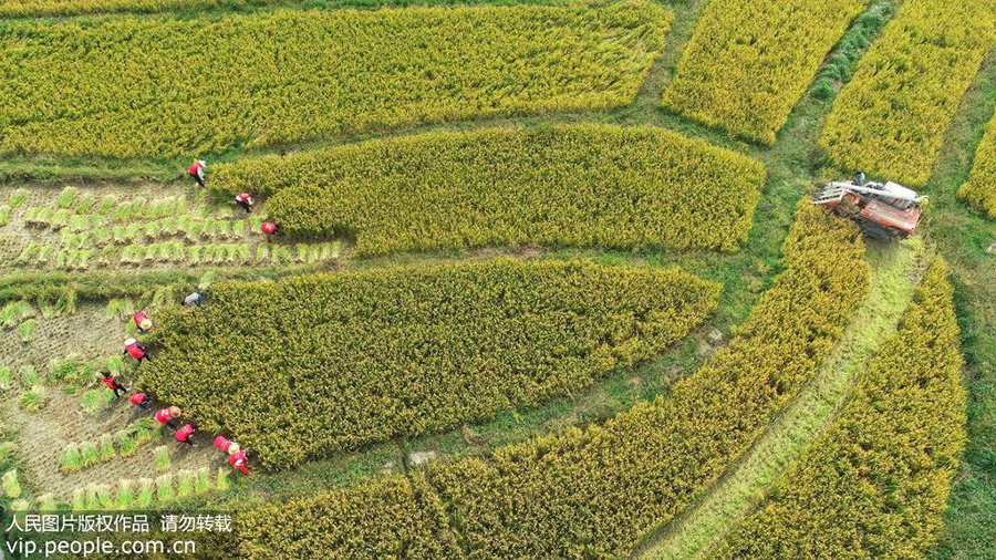 1021գ㽭ʡеĪɽ壬˴ֲո