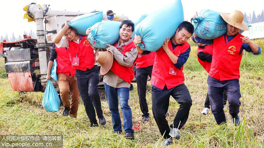 1021գ㽭ʡеĪɽ壬˴ֲո