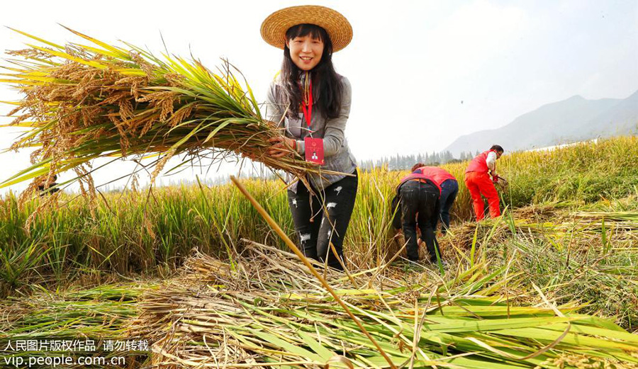 1021գ㽭ʡеĪɽ壬˴ֲո