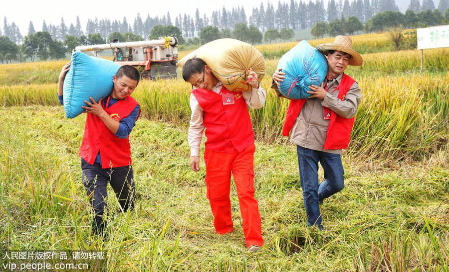 1021գ㽭ʡеĪɽ壬˴ֲո