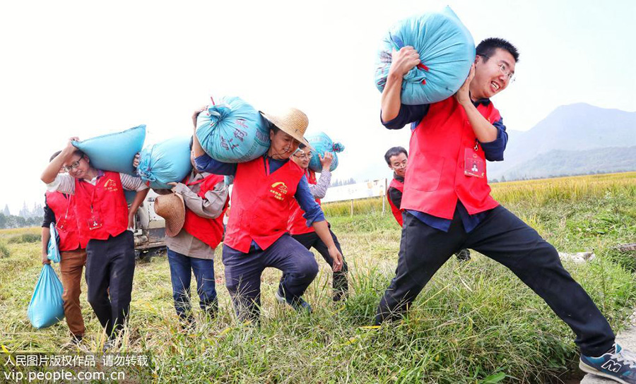 1021գ㽭ʡеĪɽ壬˴ֲո