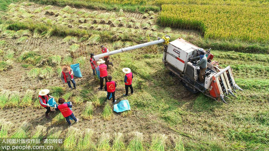 1021գ㽭ʡеĪɽ壬˴ֲո