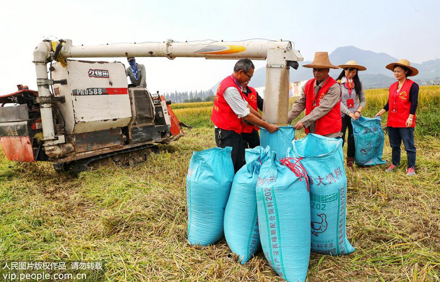 1021գ㽭ʡеĪɽ壬˴ֲո