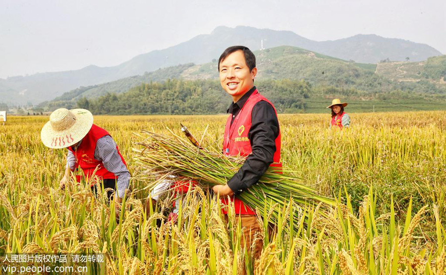 1021գ㽭ʡеĪɽ壬˴ֲո