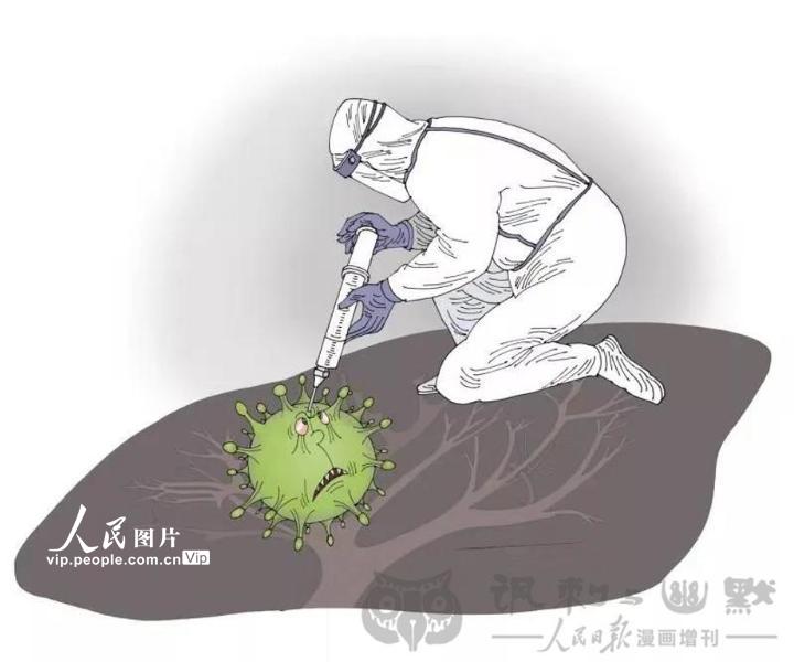 ���š��ס��ȷ桷���ߣ�����