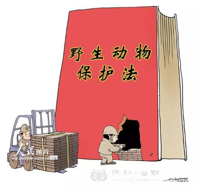 ��ؽ���޲������ߣ�������