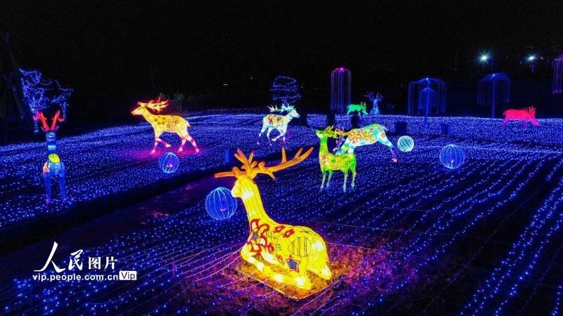 2021年4月29日夜晚，在安徽省宁国市港口镇西村，麋鹿造型灯光艺术装置，栩栩如生，游客们纷纷拍照留念。