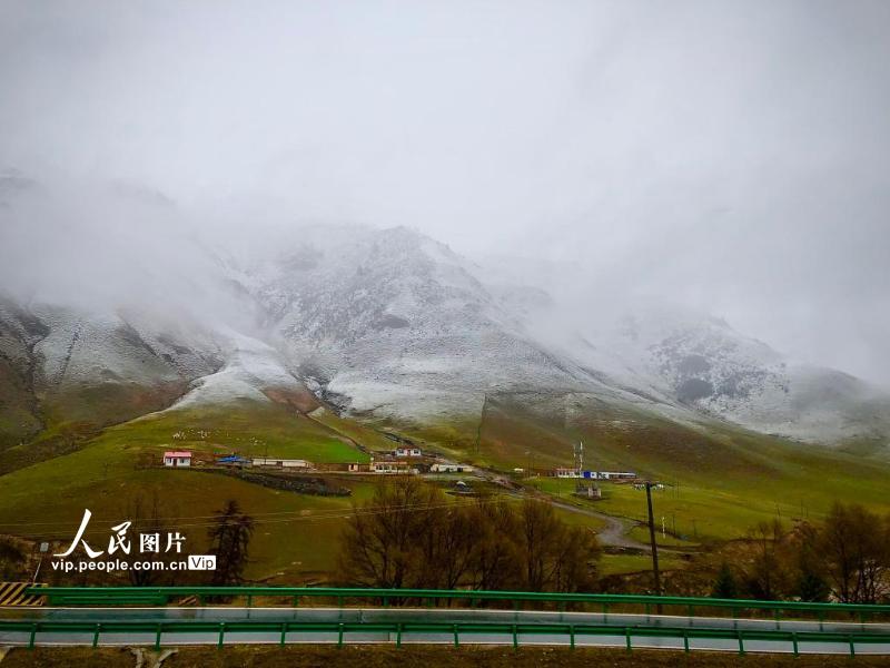 5月22日，从祁连县出发沿302省道前往达坂山的路上，山上白雪皑皑，山脚却一片春意。